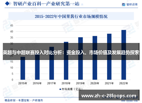英超与中超联赛投入对比分析：资金投入、市场价值及发展趋势探索