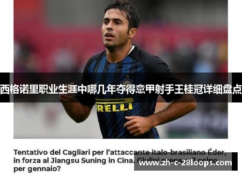 西格诺里职业生涯中哪几年夺得意甲射手王桂冠详细盘点