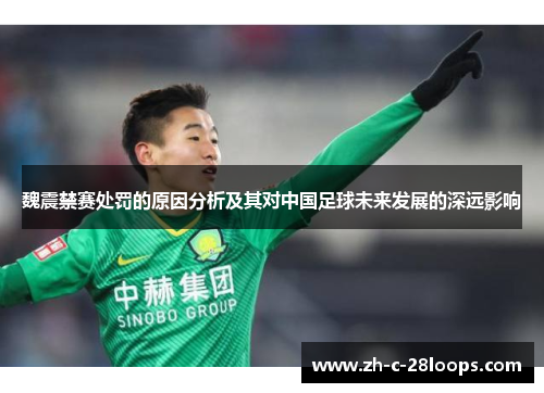 魏震禁赛处罚的原因分析及其对中国足球未来发展的深远影响